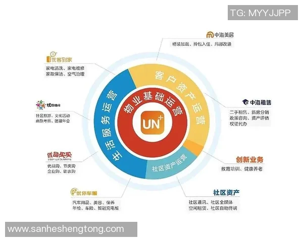 探索中国体育文化运动网的多元发展与未来愿景