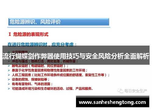 流行蝴蝶剑作弊器使用技巧与安全风险分析全面解析